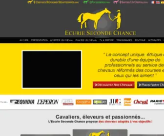 Ecuriesecondechance.com(Vente de Chevaux réformés des courses de 1000 à 4000 euros pour le loisirs) Screenshot