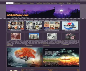Edebibilgiler.com(Türk) Screenshot