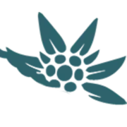 Edelweiss-Travel.ro Logo