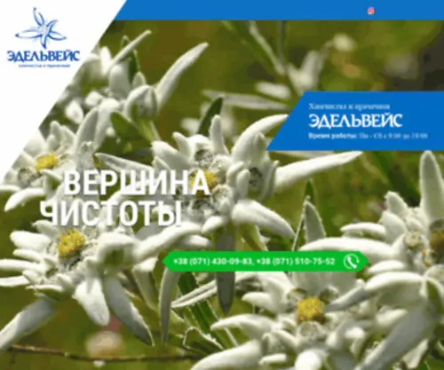 Edelweiss.dn.ua(Химчистка и прачечная) Screenshot