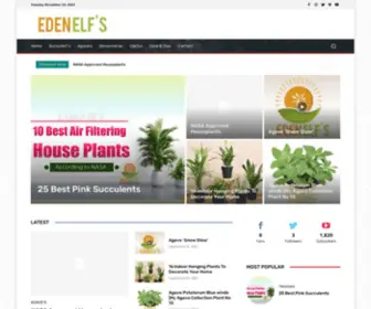 Edenelfs.com(Edenelfs) Screenshot