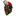 Edip.se Favicon