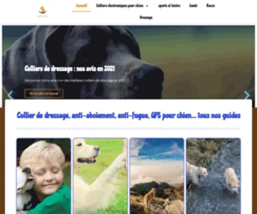 Education-Canine-Tarn.fr(éducateur canin) Screenshot