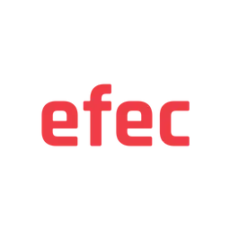 Efec.de Favicon