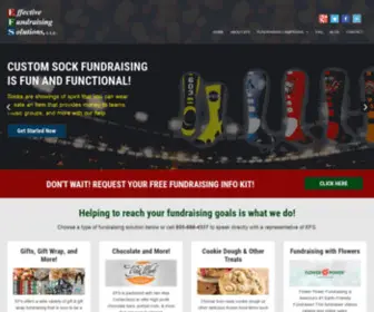 Effectivefundraisingsolutions.com(Effectivefundraisingsolutions) Screenshot