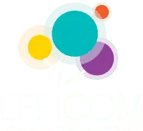 Efficom-Lille.fr Logo