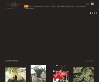 Efgorchids.com(Efg orchids) Screenshot