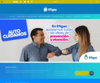 Efigas.com.co(EFIGAS S.A) Screenshot