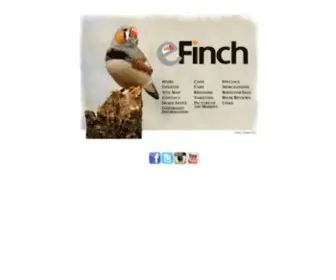 Efinch.com(EFinch is dedicated the care and breeding of finches) Screenshot