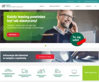 EFL.com.pl(Szybki leasing i pożyczka dla firm) Screenshot