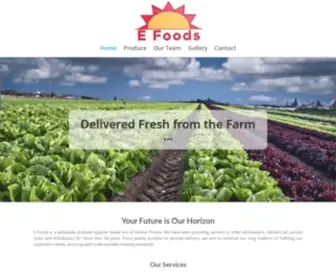 Efoodsinc.com(Wholesale produce supplier) Screenshot