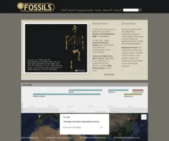 Efossils.org(EFossils Resources) Screenshot