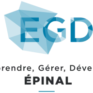 EGD88.fr Favicon