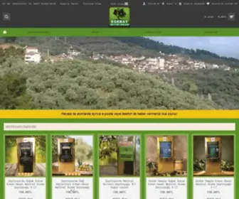 Egebayzeytinyagi.com(Egebay Zeytinya) Screenshot