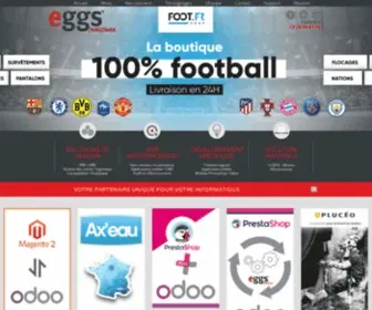 EGGS-Solutions.fr(Eggs solutions) Screenshot