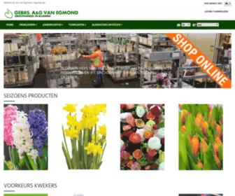 Egmond-Bloemen.nl(A en G van Egmond BV Bloemengroothandel) Screenshot