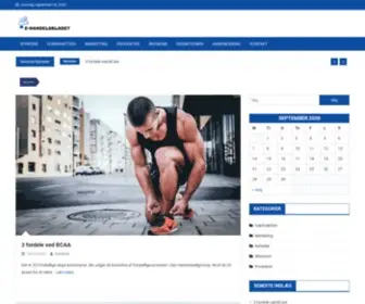 Ehandelsbladet.dk(E-handelsbladet) Screenshot