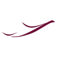Eiab.net Favicon
