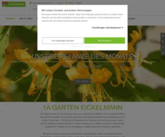 Eickelmann.de(Eickelmann) Screenshot