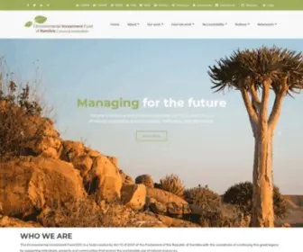 Eif.org.na(Environmental Investment Fund of Namibia (EIF)) Screenshot