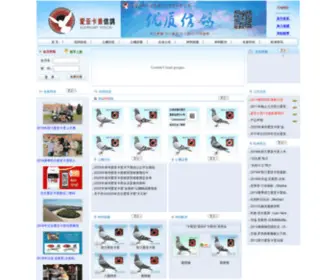 Eijerkamp.com.cn(爱亚卡普信鸽) Screenshot