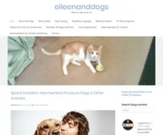 Eileenanddogs.com(What my dogs teach me) Screenshot