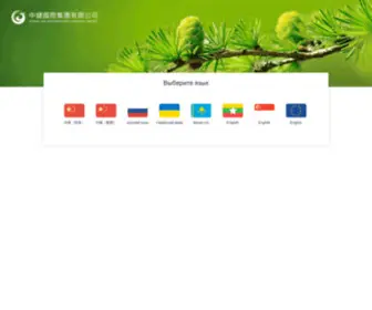 Eintgz.com(选择语言) Screenshot