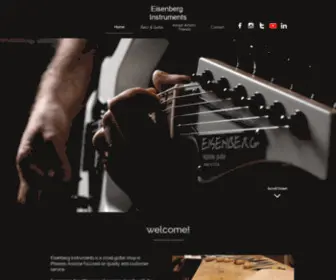 Eisenberginstruments.com(Eisenberg Instruments) Screenshot