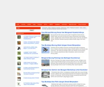 Ekor9.com(Artikel Keren Tentang Dunia Fauna) Screenshot