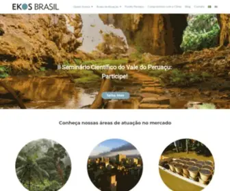 Ekosbrasil.org(Revitalização de areas contaminadas) Screenshot