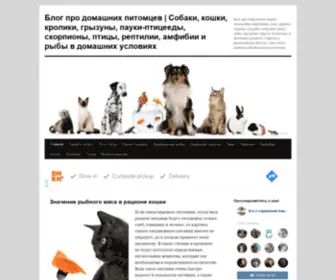 Ekzotika-Doma.ru(Блог про содержание пауков) Screenshot