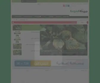 EL-Mazraa.com(جريدة) Screenshot