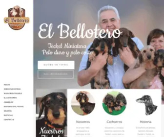 Elbellotero.com(El Bellotero) Screenshot