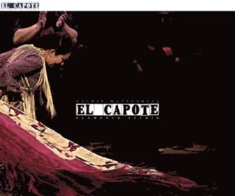 Elcapote.com(名古屋市栄) Screenshot