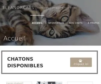 Eleanorcats.com(Chats bengal de qualité) Screenshot