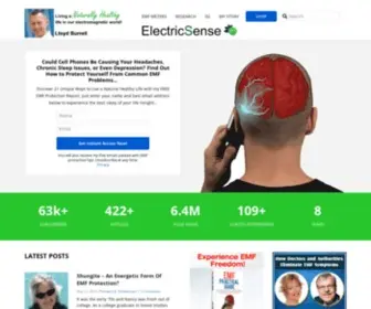 Electricsense.com(EMF Protection) Screenshot