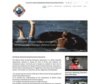 Electricshockdrowning.org(Electric Shock Drowning Prevention Association) Screenshot