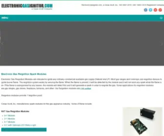 ElectronicGasignitor.com(ElectronicGasignitor) Screenshot