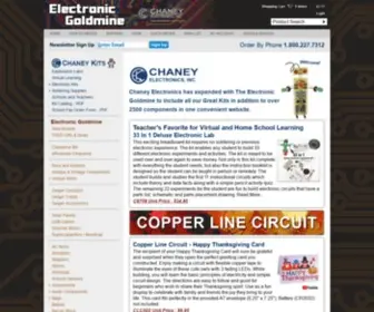 Electronickitsbychaneyelectronics.com(Electronickitsbychaneyelectronics) Screenshot