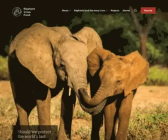 Elephantcrisisfund.org(Elephant Crisis Fund) Screenshot