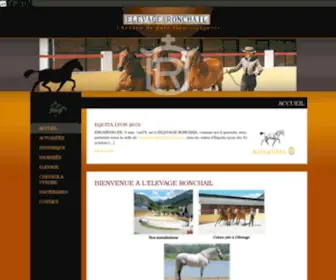 Elevage-Ronchail.com(Chevaux Espagnol a vendre Elevage de chevaux pure race Espagnole chevaux andalou à vendre elevage chevaux andalou dressage espagnol) Screenshot