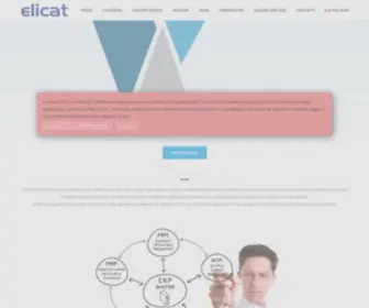 Elicat.net(Elicat software & consulting) Screenshot