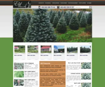 Eliffidancilik.net(MAVİ LADİN) Screenshot