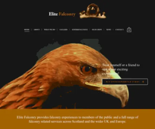 Elitefalconry.com(Elite Falconry) Screenshot