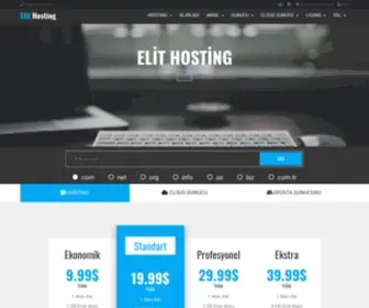 Elithosting.com(Ana Sayfa) Screenshot