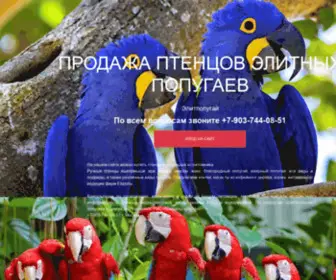 Elitparrots.ru(Продажа) Screenshot