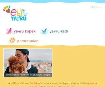 Elityavru.com(Türkiye'nin yavru köpek yavru kedi satışı sitesi) Screenshot