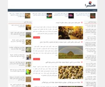 Elmsara.com(سایت علم سرا) Screenshot