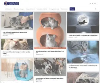 Elsecretodelosgatosfelices.com(Gatos felices) Screenshot