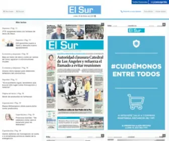 Elsur.cl(El Sur) Screenshot